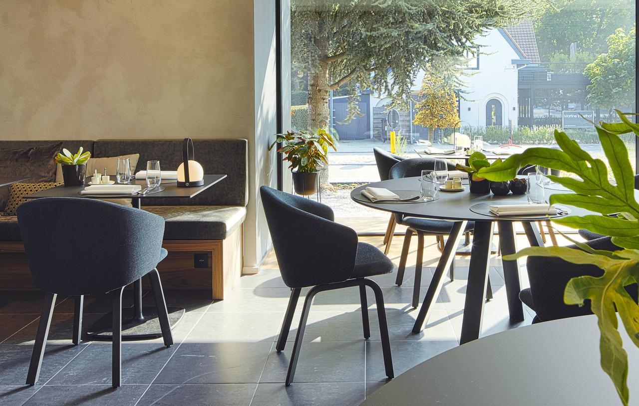 B&B Ceder10 Kruibeke Bagian luar foto